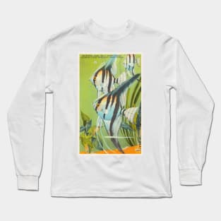 Angel fish at eastern garden aquarium, Florida postcard Long Sleeve T-Shirt